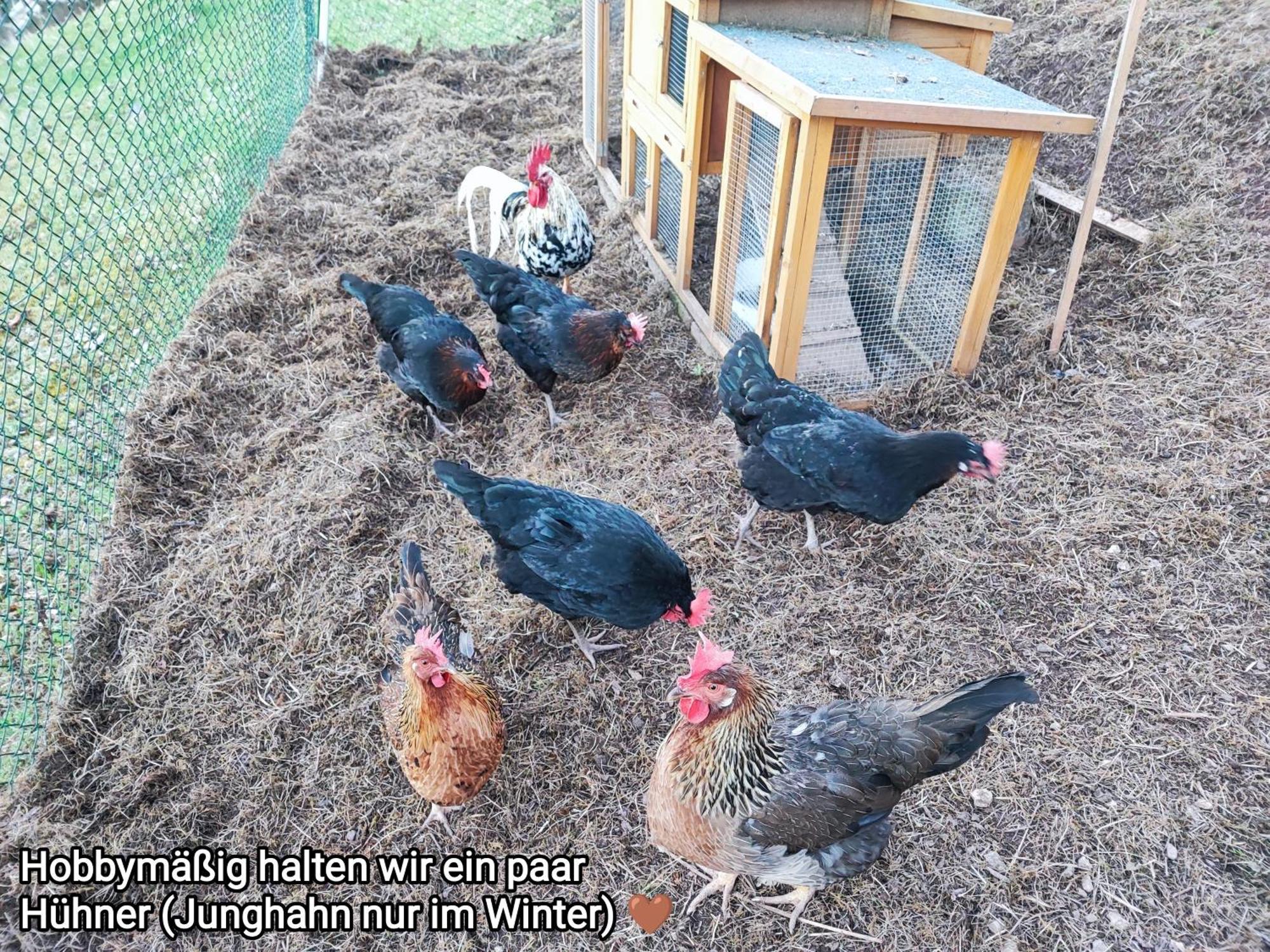 Ferienwohnung Look Wide Oberelsbach Eksteriør billede